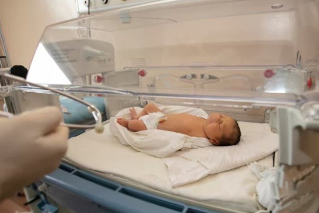Does Dr. Meghana Phadke Sultania Provide Advanced NICU Care for Newborns?